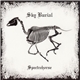 Sky Burial - Spectrehorse